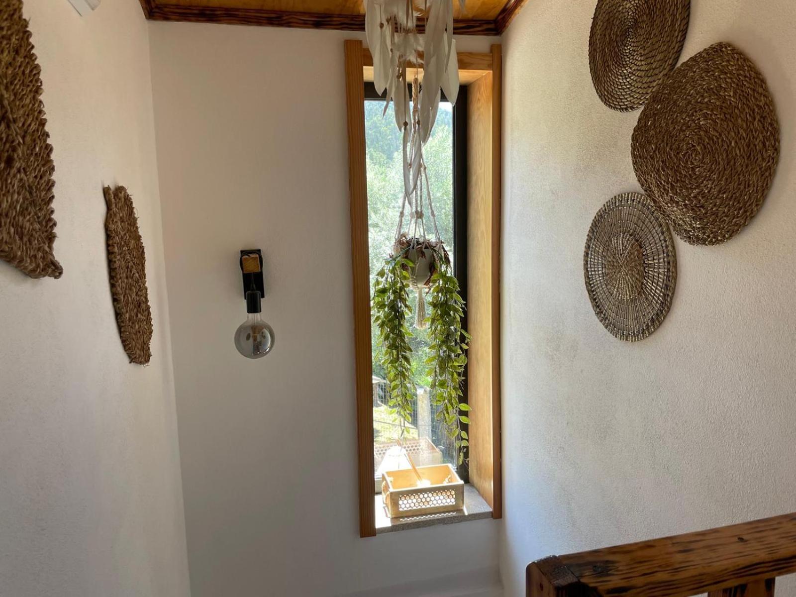 Quintinha Da Cachadinha Villa Ponte de Lima Eksteriør bilde